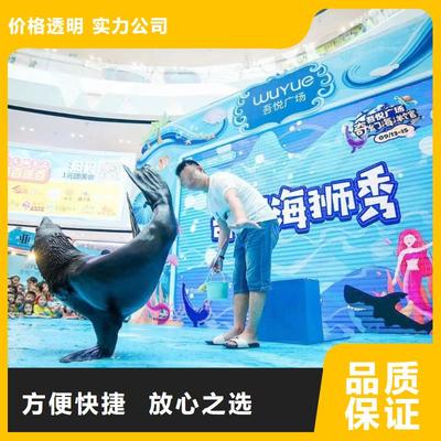 南安市分公司 專(zhuān)業(yè)出租表演鸚鵡，打造難忘動(dòng)物展覽體驗(yàn)